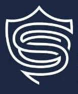 Security Solutions Company 1